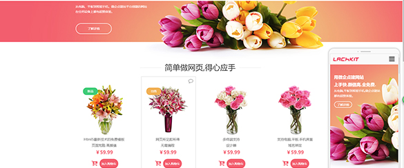 電商行業(yè)網(wǎng)站解決方案